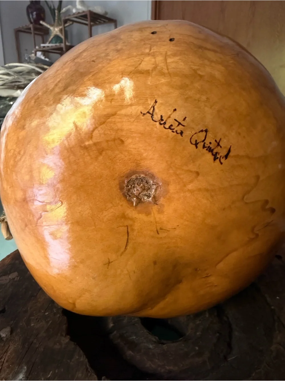 🦜 LARGE Dried Gourd | Hand Painted Parrots | 12